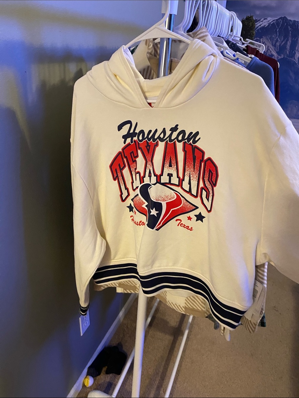 Houston Texans